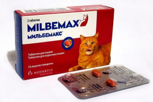 Інструкція з використання та вартості препарату milbemax для кішок Інструкція з використання та вартості препарату milbemax для кішок